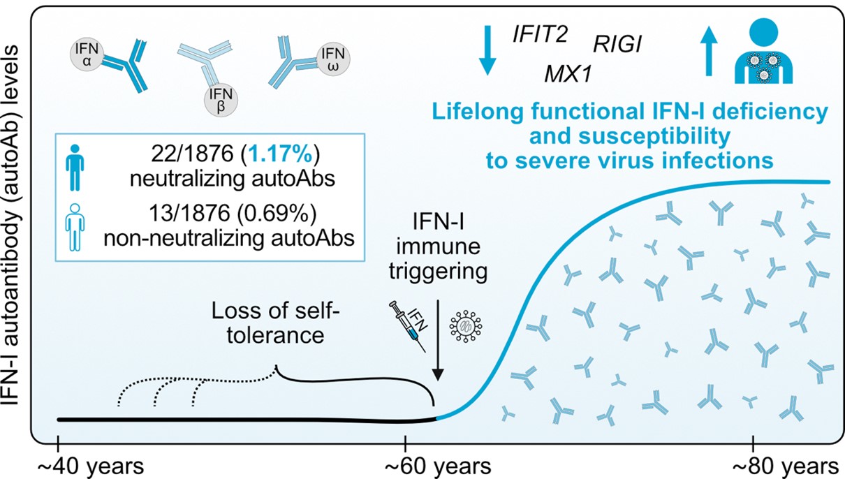 Interferon Deficiencies in Viral Disease